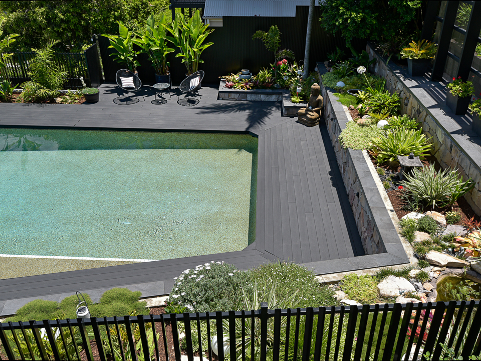 A modern landscaped backyard with a swimming pool framed by dark timber decking, tropical plants, and a stone retaining wall. The space includes two black wire chairs with striped cushions, a Buddha statue, and layered garden beds featuring lush greenery and decorative rocks, designed by dion seminara architecture.